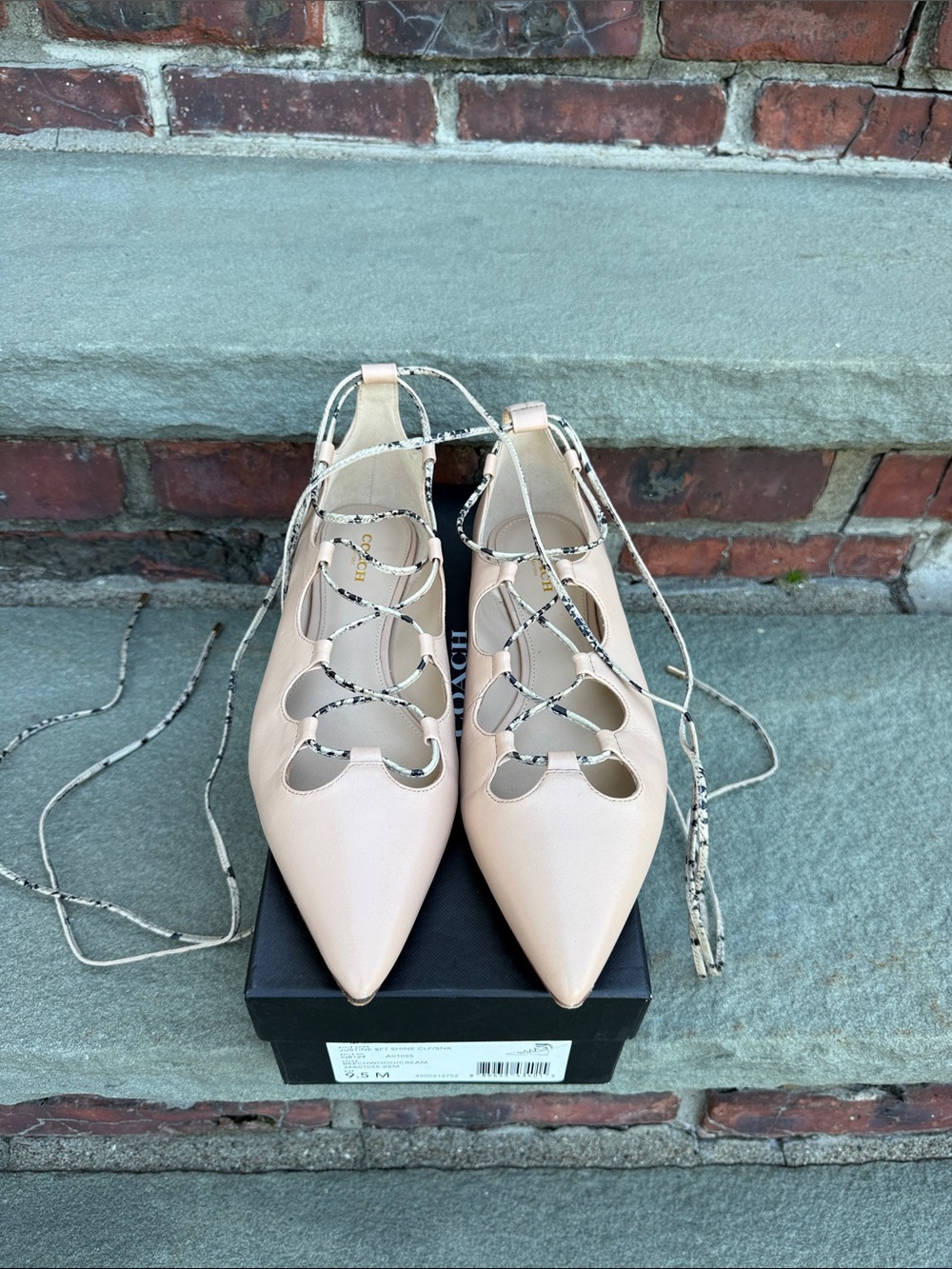 Coach Pointed Lace-Up Flats with Snake Patterned Laces